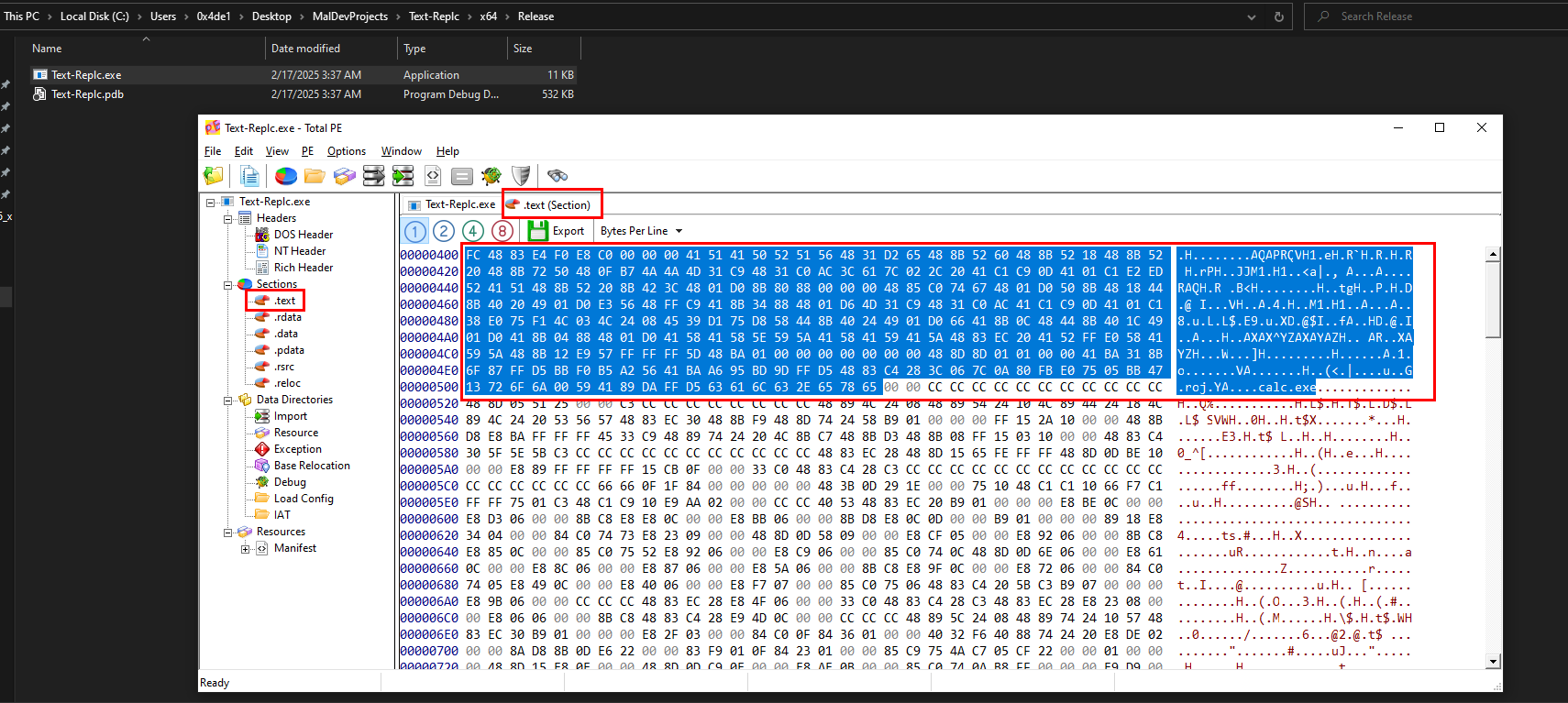 ShellCode10