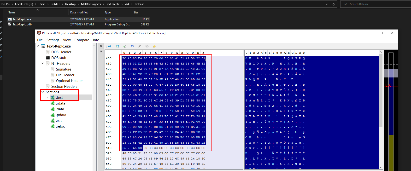 ShellCode11